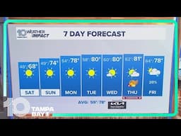 10 Weather: Tampa Bay area evening forecast | Nov. 22, 2024