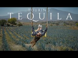 WE WENT TO TEQUILA!! Everything you need to know before you visit!