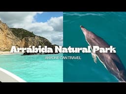 Dolphin Watching Day Trip from Lisbon Portugal | Arrábida Natural Park