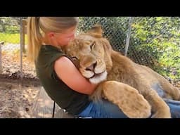 When Animals Have Enough Love for the Entire World