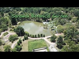 Sweat It Out Spots In Kuching Part 4: Sarawak Botanical Garden (Taman Botani) 砂拉越古晋植物园