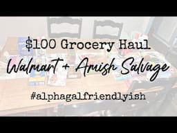 $100 Weekly Grocery Haul | Shopping with Alpha-Gal Allergy | Amish Store & Walmart Finds