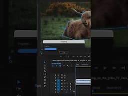 NEW VERSION - Mask To Transform 1.2.0 for Premiere Pro - new feature - STABILIZATION MODE