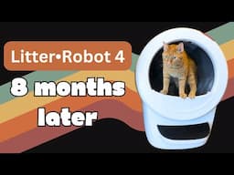 IS IT WORTH THE MONEY? Litter Robot 4 Review Update and Deep Cleaning