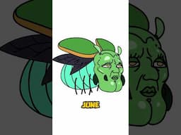 I have a New Opinion on June Bugs