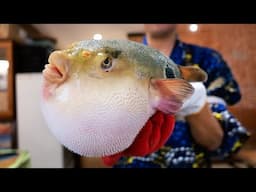 Japanese Food - POISONOUS FUGU Fukumeshi Okinawa Seafood Japan