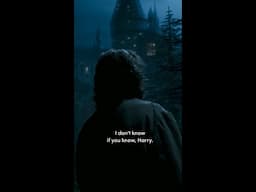 Sirius offers Harry a home #HarryPotter #SiriusBlack #PrisonerOfAzkaban