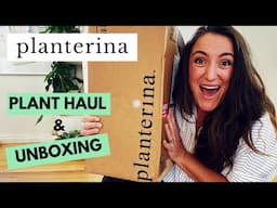 Planterina Plant Haul and Unboxing | You can't believe these plants from Planterina.com!