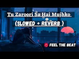 Tu Zaroori Sa Hai Mujhko  (Slowed + Reverb ) - ZiD | Mannara, Karanvir | Feel The Beat