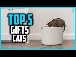 ✅Top 5 Best Gifts for Cats in 2025