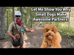 End Small Dog Discrimination | Uncle Stonnie Proves Small Dogs Are Great Adventure Partners!