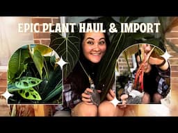 EPIC Planty Unboxing & Haul 🌿 from 3 Etsy Shops! Amazing Ecuador Import!!