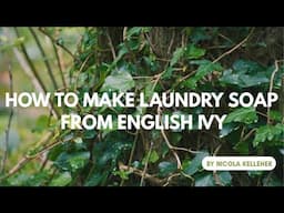 How to Make Laundry Soap from English Ivy