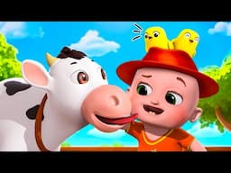 NEW Old MacDonald Had A Farm + Daddy Finger Mummy Finger |Nursery Rhymes & Kids Songs #Joyfuljingles