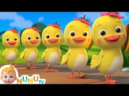 5 Little Ducks (Learn Counting Song) + More  Nursery Rhymes & Kids Songs | NuNu Tv