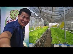 KABERDE HYDROPONICS FARM