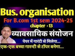 Business organisation ch 13 business combination