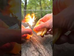 Fire from an Orange                                #fire #orange #survival