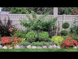 First Fall Walkabout & Garden Tour - the Mums are so Colorful 🌻🥀🪴