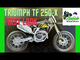 All New TRIUMPH TF 250-X First Look