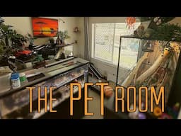 IN DEPTH PET ROOM TOUR (GUINEA PIGS, BEARDED DRAGONS & MORE)