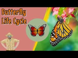 The Butterfly Life Cycle | Educational Videos For Kids