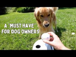 My dog tests out a ball launcher | Uahpet iRetriever Ball Launcher