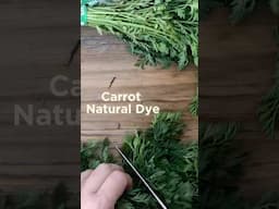 Want an easy natural dye? Carrot tops create yellow or green. #naturaldye #yarn #veg #howtomake