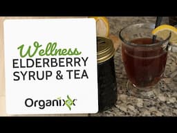 Wellness Elderberry Syrup and Tea