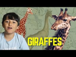 Giraffes: Save these beautiful giants from extinction