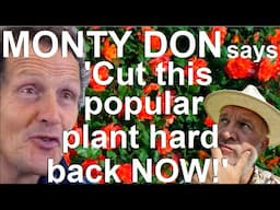 Monty Don Says 'Prune this Popular Plant Hard Back Now' - Pruning Climbing Roses!