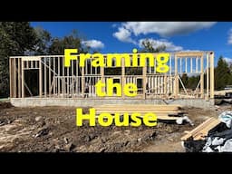 House Build Series 9: Framing Begins