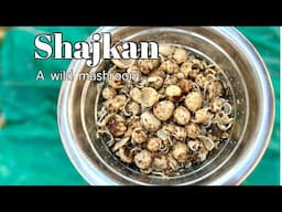 Spicy Shajkan chutney recipe|kan pappar chutney recipe||kashmiri style wild mashroom.