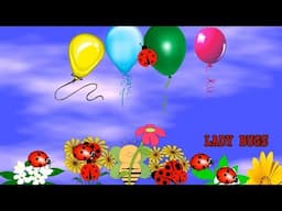 Fun Learning Numbers and Colors with Lady Bugs Balloons and Flowers