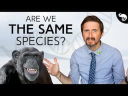 What is a Species? Nobody Knows!