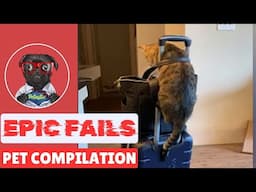 When Pets Fail – The Funniest, Most Epic Pet Moments Ever!