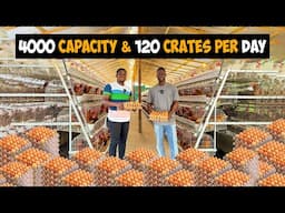 Inside a 4000 Capacity Battery Cage Poultry Farm producing 120 crates of Eggs/day in Ghana 🇬🇭