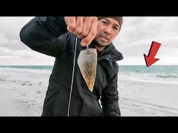 Beach Fishing 12 Hrs with Mullet! CATCH and COOK