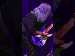 Carl Baldassarre LIVE performing "Viper" #rockguitar #guitarsolo #carlbaldassarre #deeppurple