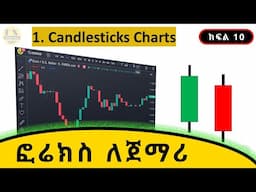 Candlesticks Tutorial and Types of Price Charts in Forex ( Part 10 )