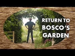 Return To Bosco's Garden | Taming the Food Forest