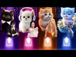 Cute Cats Dance | Wednesday Bloody Mary | Jisoo Flower | Waka Waka Shakira | Enemy Elsa | Cats Songs