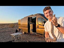 Cooking Rattlesnake, Vanlife Camping In the Desert | 111°F