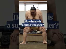 How heavy is a sumo wrestler?