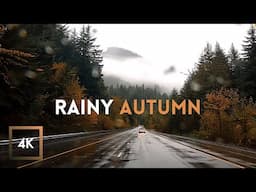 Rainy Scenic Autumn Drive in Olympic National Park - Relaxing Sounds 4K