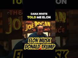 Elon Musk knew Donald Trump Won! #elonmusk #joerogan #donaldtrump #jre #shorts #fyp #viralvideo