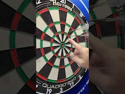 First Time On Video - QUAD WHITE HORSE #darts #quadro240 #Harrows