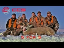 Montana Late Season Mule Deer Rut Hunt - 5 for 5 2019