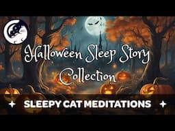 Halloween Sleep Collection - All Night Storytelling (Harry Potter & LOTR)