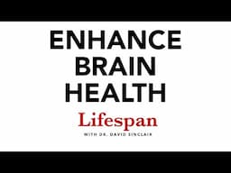 The Science of Keeping the Brain Healthy | Lifespan with Dr. David Sinclair #7